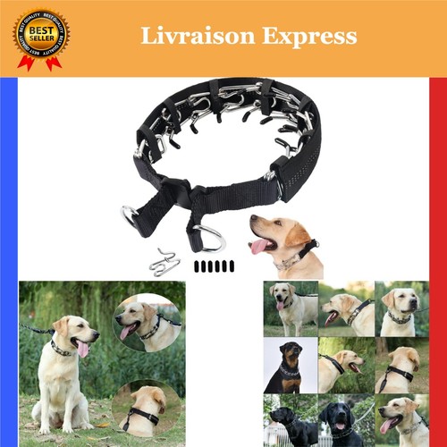 Collier dressage griffes - collier,