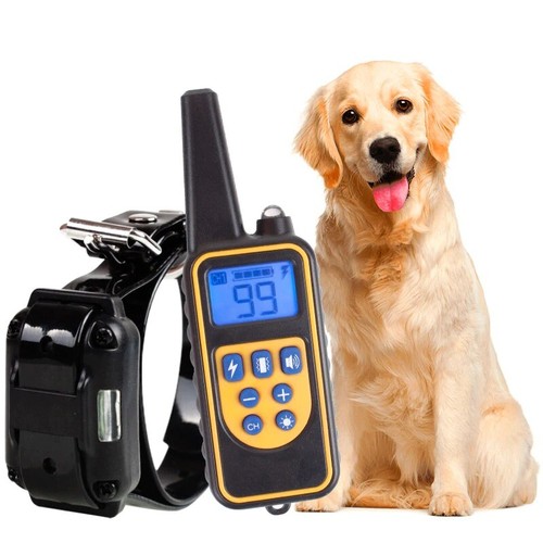 Collier dressage chien - dressage,