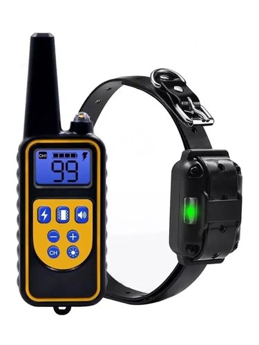 Collier dressage pour chien - collier,