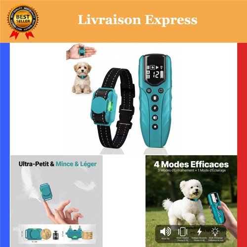Collier dressage chien - de,
