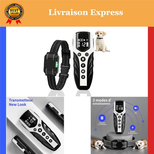 Collier dressage chien avec - collier, de