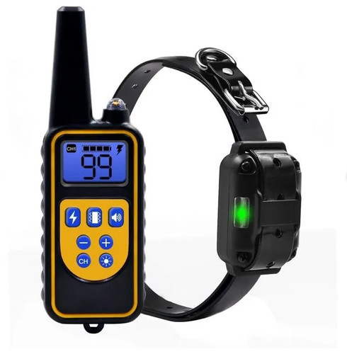 Collier dressage pzcc - de,