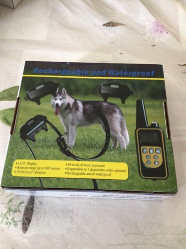 Collier dressage pour chien - dressage,