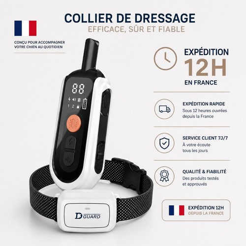 Collier de dressage - collier,
